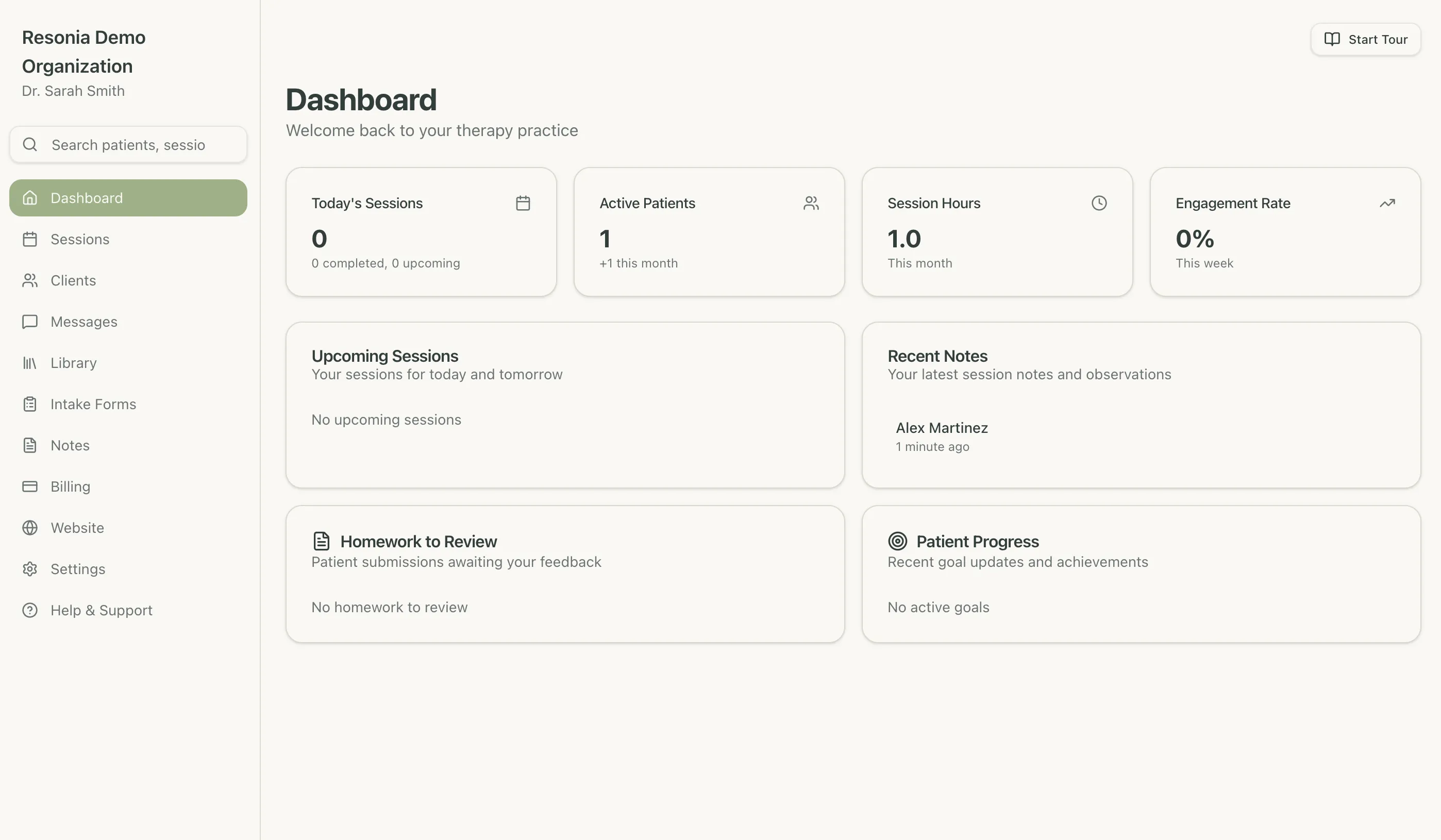 Therapist dashboard showing patient list, upcoming sessions, and clinical tools